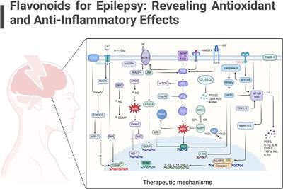 Flavonoids as therapeutic agents for epilepsy: unveiling anti-inflammatory and antioxidant pathways for novel treatments